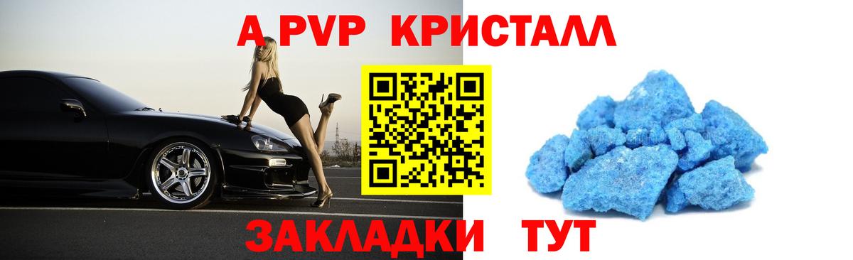 Alfa_PVP СК Коряжма