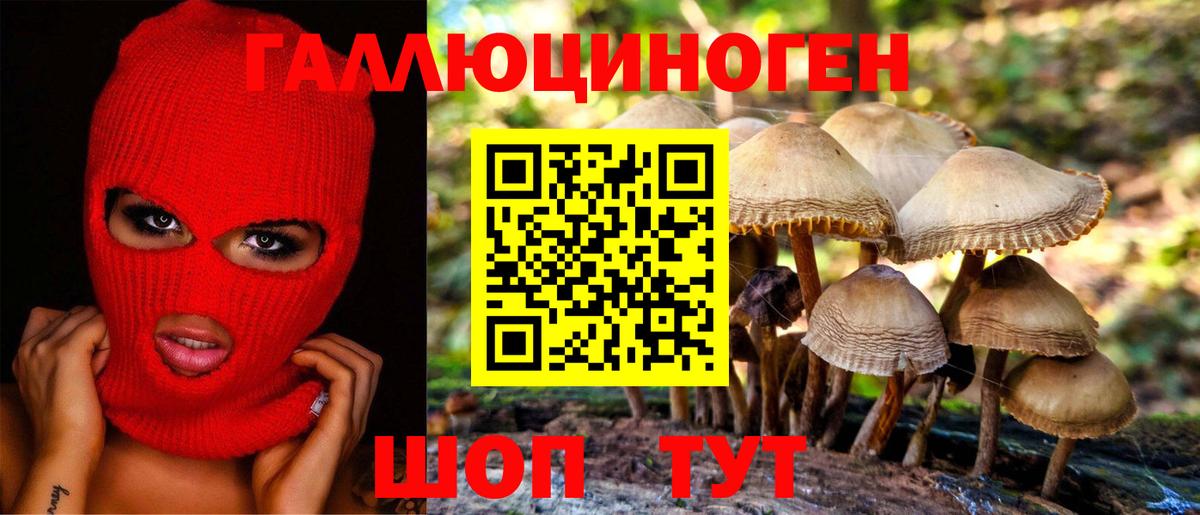 Галлюциногенные грибы Cubensis Коряжма