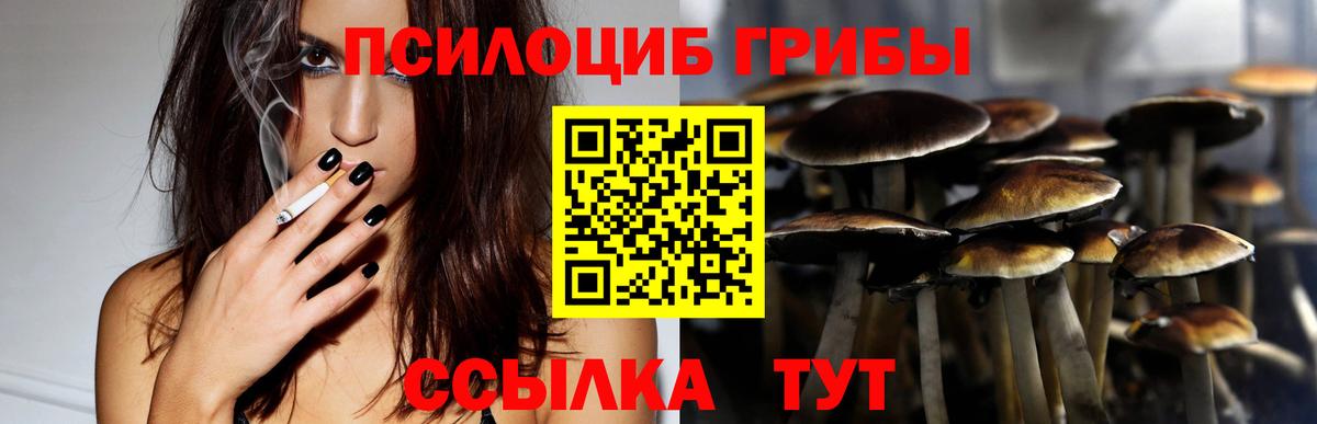 Коряжма  Галлюциногенные грибы прущие грибы  Вход с VPN 